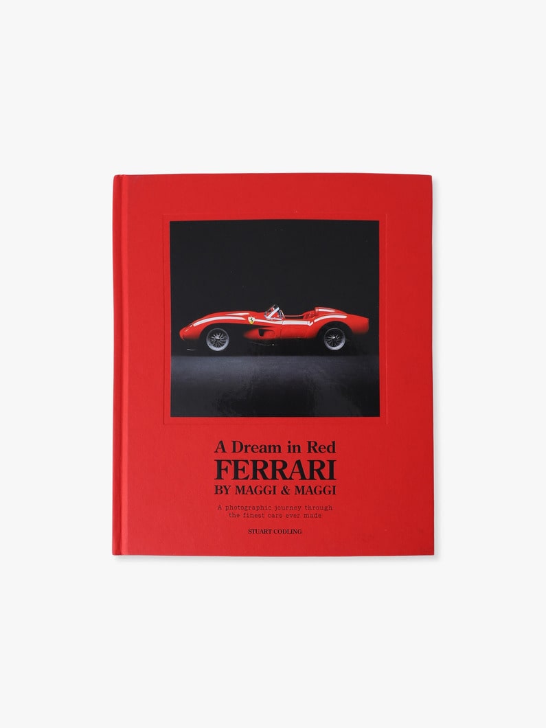 ア ドリーム イン レッド フェラーリ 詳細画像 other 1