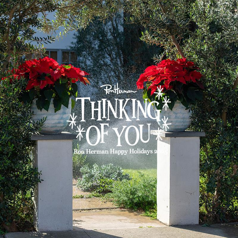 2025 Holiday Collection