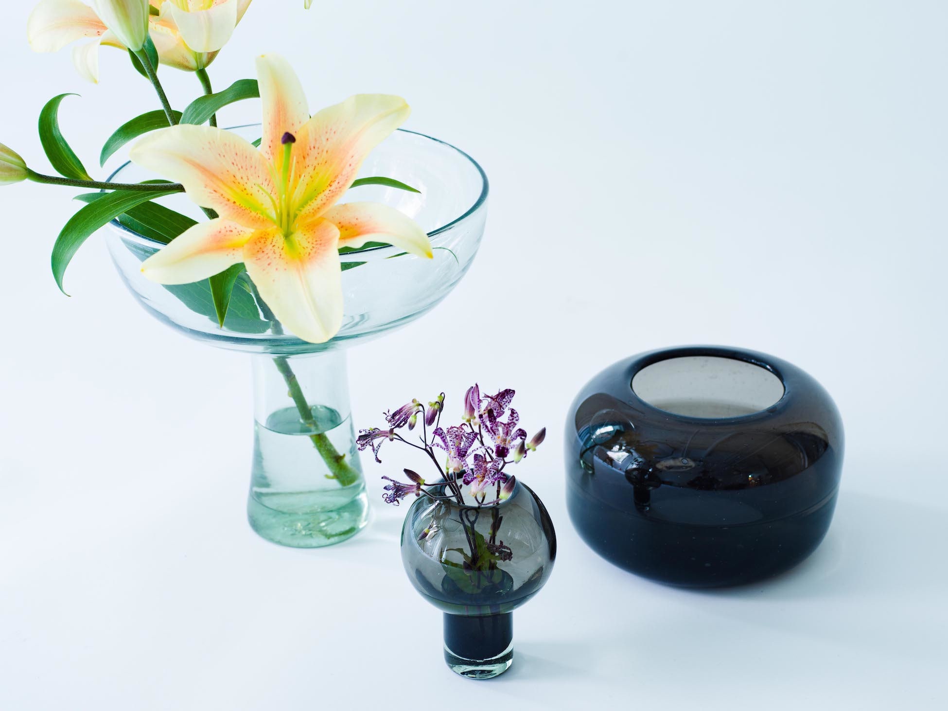 MAAKO Flower Vase Collection New Relase