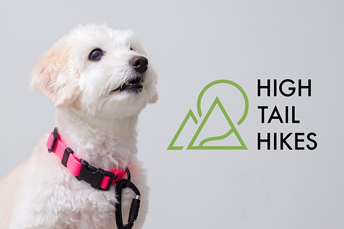 HIGH TAIL HIKES New Release News｜Ron Herman