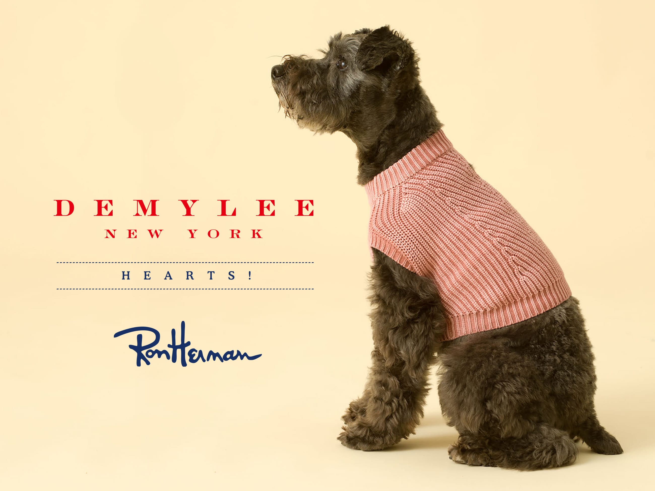 DEMYLEE HEARTS! Ron Herman ‟CHELSEA Dog Sweater”　made to order