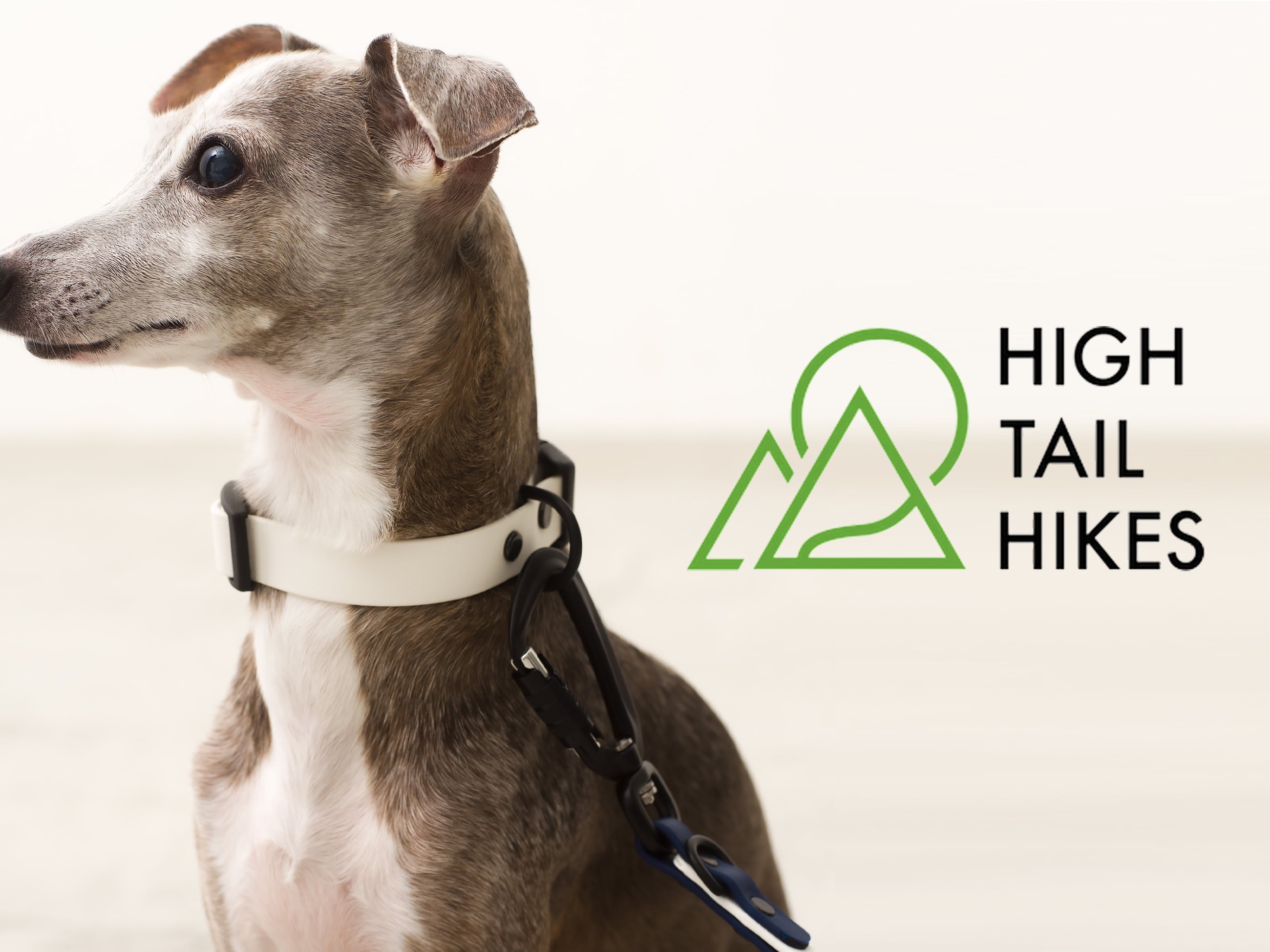 HIGH TAIL HIKES  Limited item