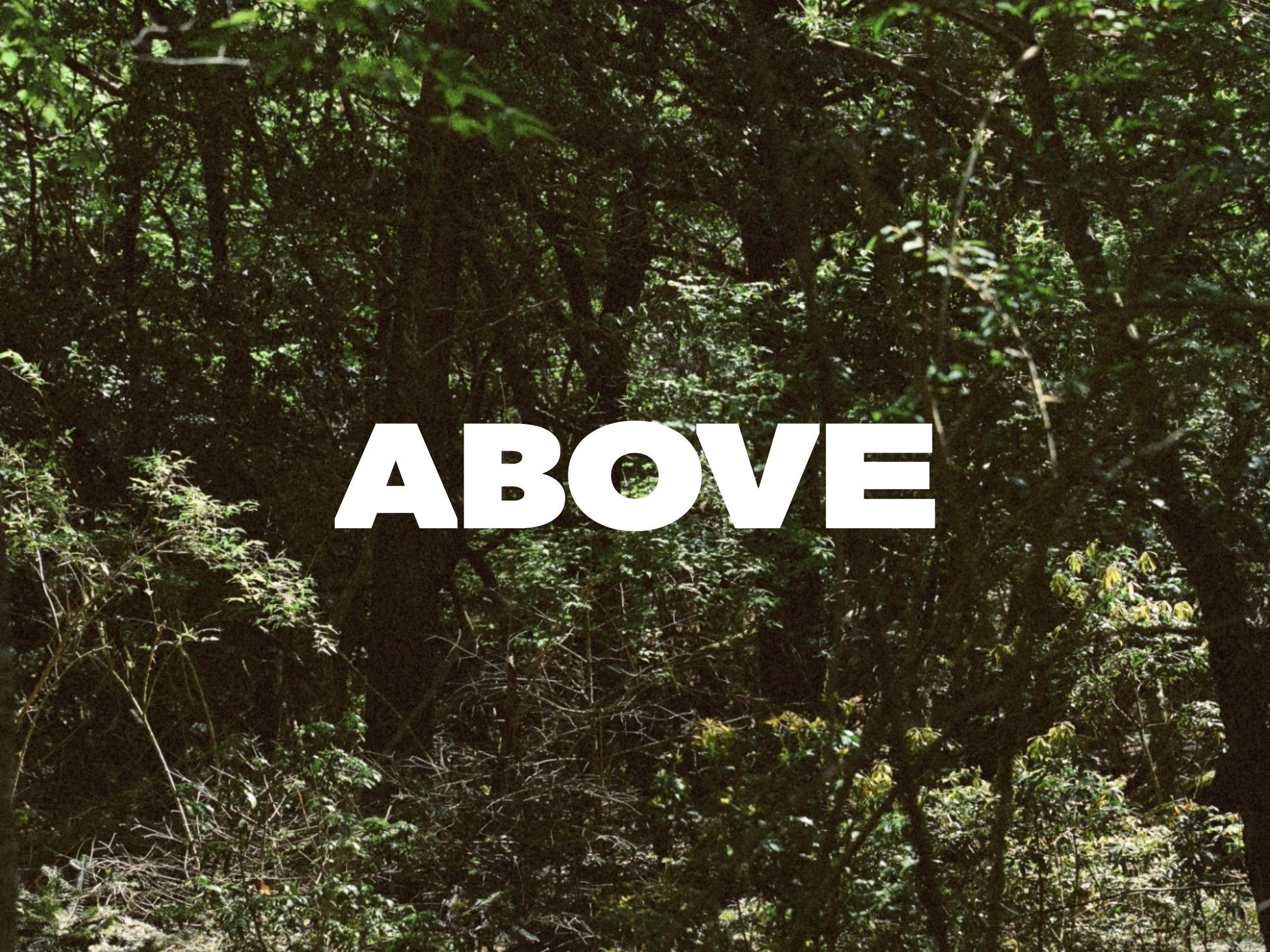 New Jewelry Brand “ABOVE”