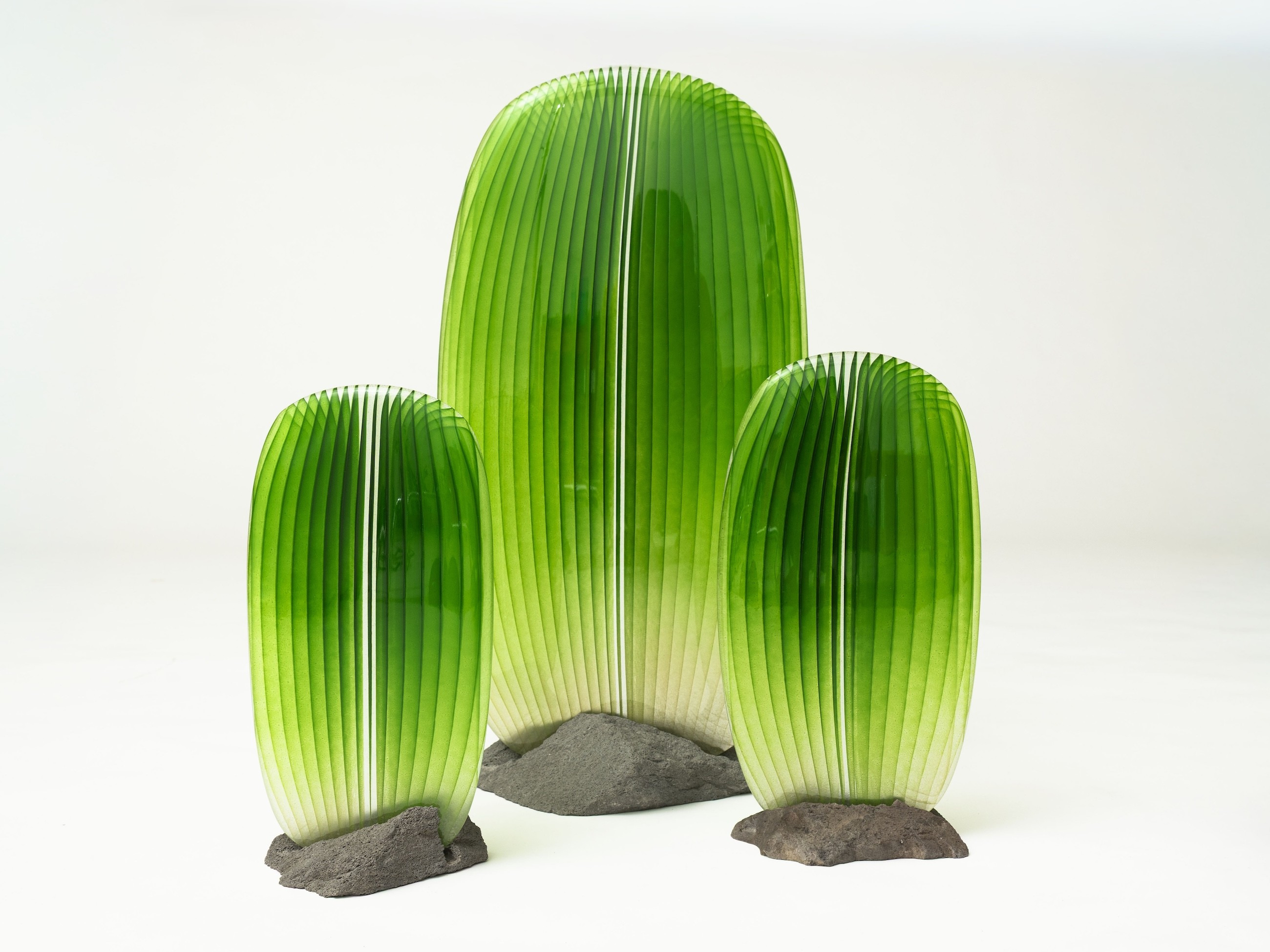 JONATHAN AUSSERESSE New Arrival
