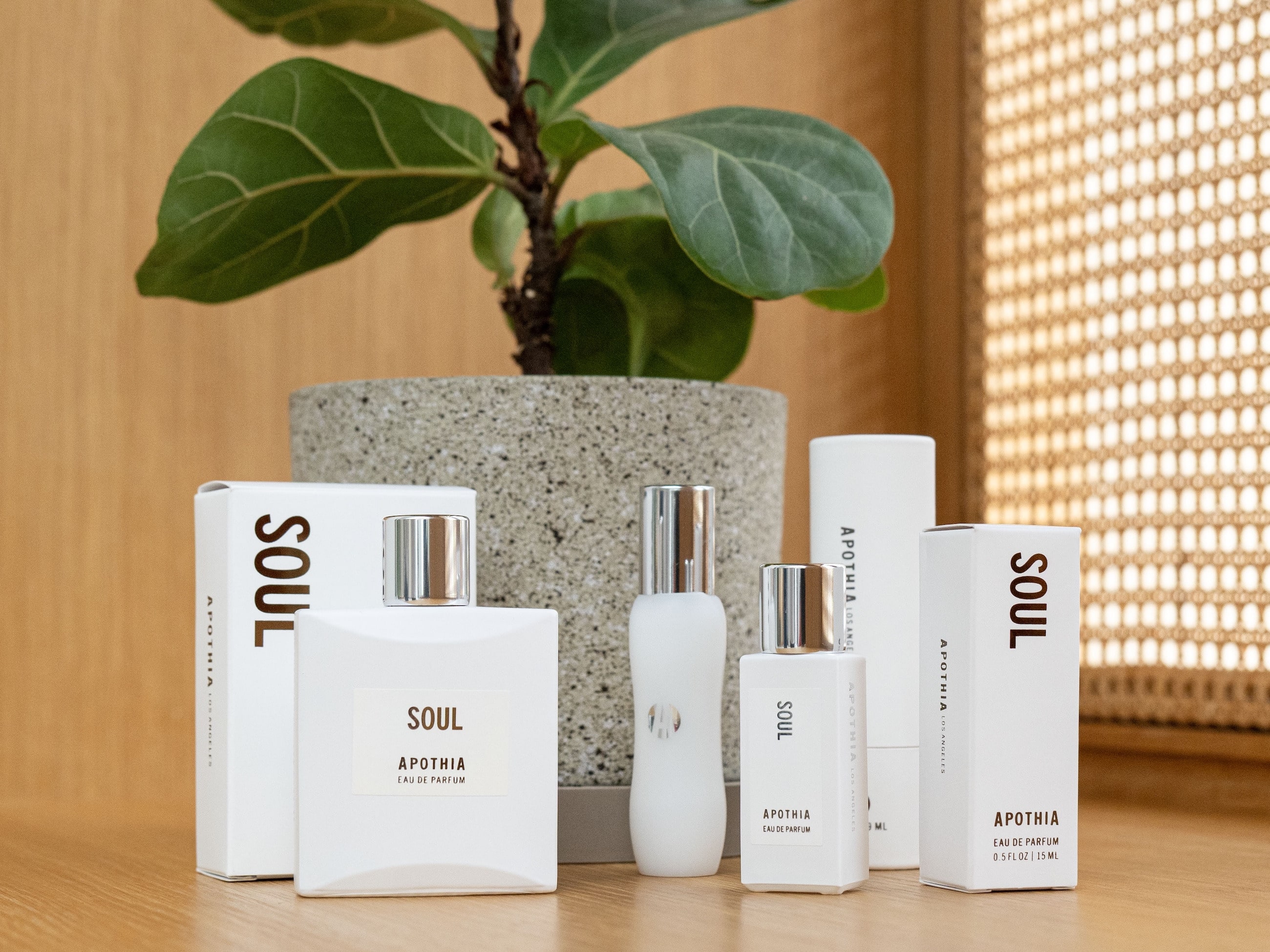 APOTHIA “SOUL” New Arrival